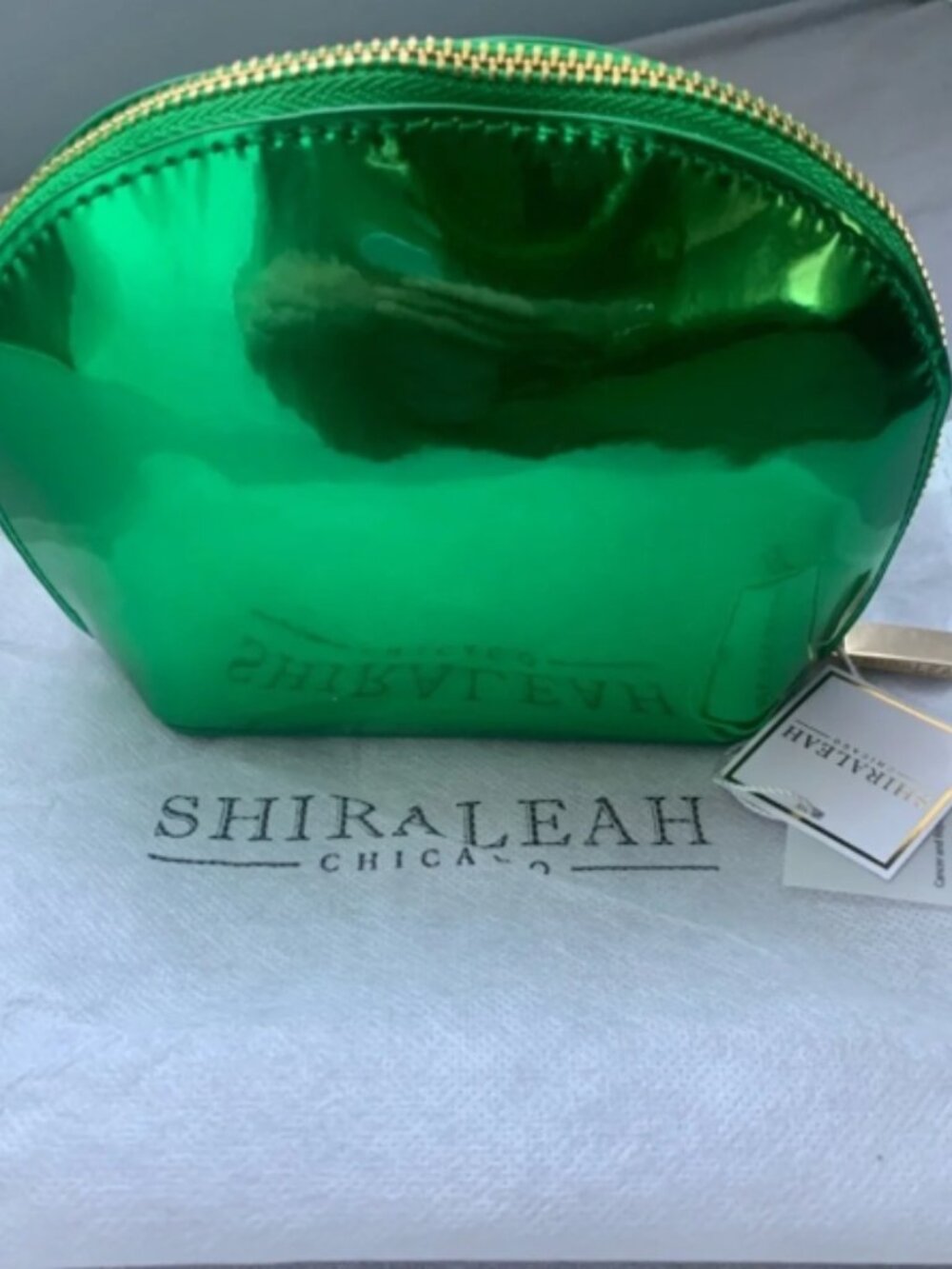 NWT SHIRALEAH Clara Zip Cosmetic Pouch Green